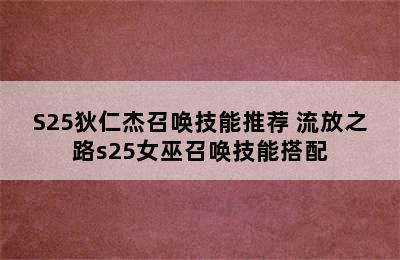 S25狄仁杰召唤技能推荐 流放之路s25女巫召唤技能搭配